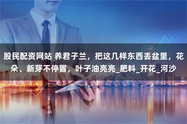 股民配资网站 养君子兰，把这几样东西丢盆里，花朵、新芽不停冒，叶子油亮亮_肥料_开花_河沙