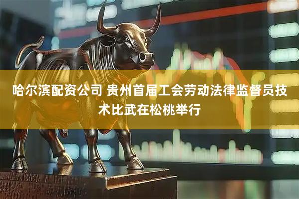 哈尔滨配资公司 贵州首届工会劳动法律监督员技术比武在松桃举行